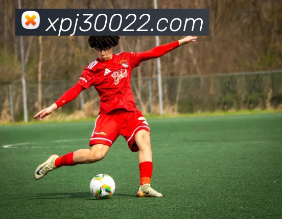 xpj全站App
